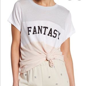 Wildfox || NEW Fantasy Colorblock Tee Shirt